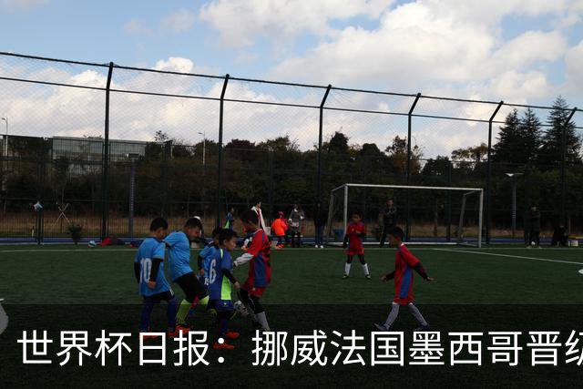 世界杯日报：挪威法国墨西哥晋级 巴西大将恐因伤退出